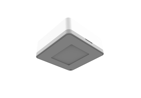 Milesight WS202 PIR & Light Sensor